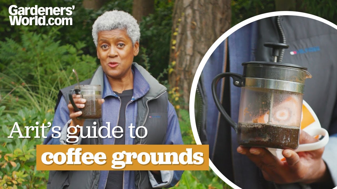 How to use COFFEE GROUNDS in the garden | Arit's guide