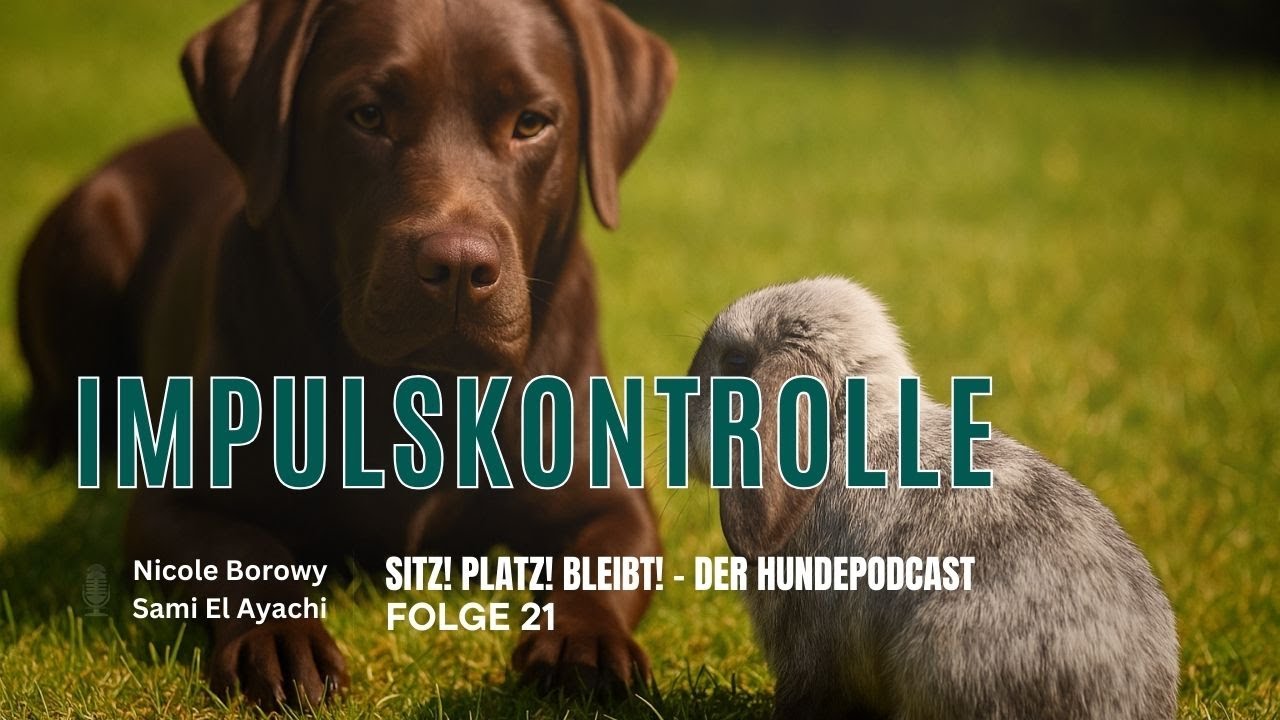 #21 Impulskontrolle - Warum warten so schwer ist