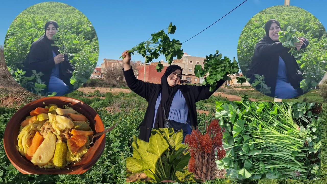 خرجة عفوية أنا وصحاباتي😍  مشينا نجيبو الخبيزة فواحد البلاصة كتحمق وضحك وفرحة بلا حدود❤️