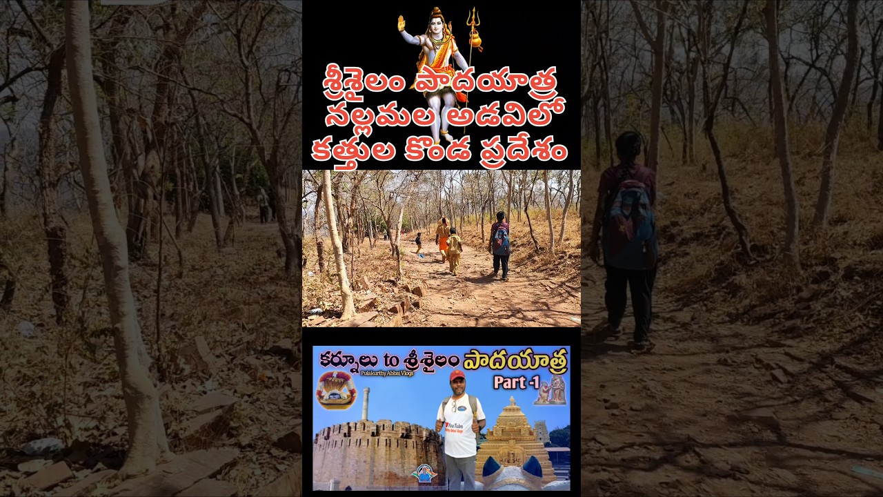 🚩🙏 శ్రీశైలం పాదయాత్ర 2025 #srisailam #trekking #padhayatra #shivaratri #trending #viralshort #yt