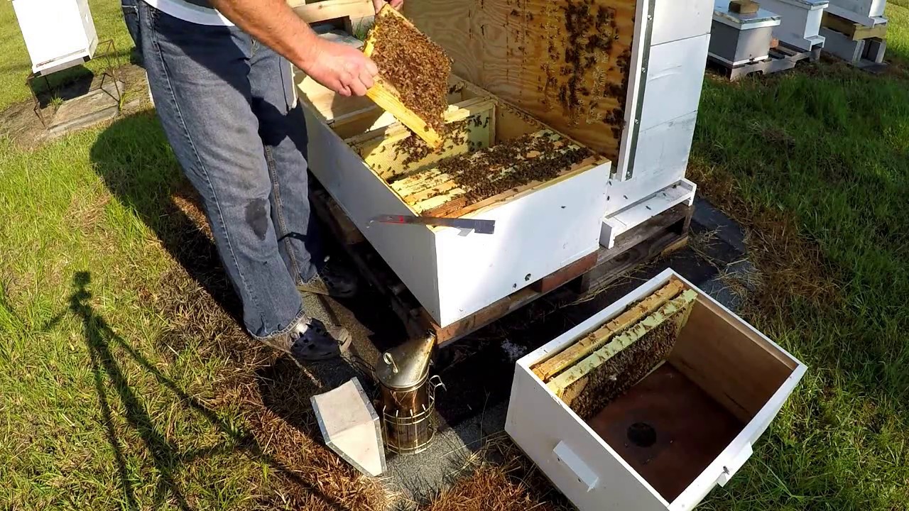 Long Langstroth Hive Mods Part 1