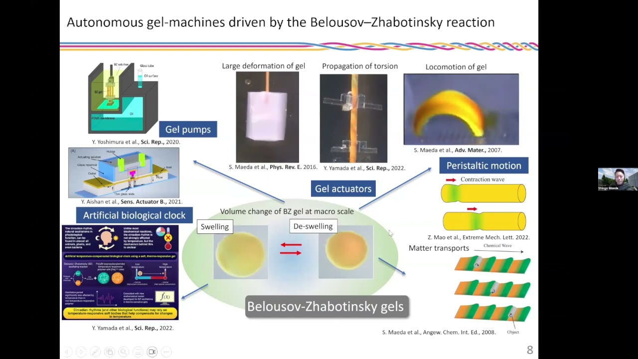 Shingo Maeda  AUTONOMOUS GEL MACHINES” DRIVEN BY A CHEMICAL REACTION NETWORK