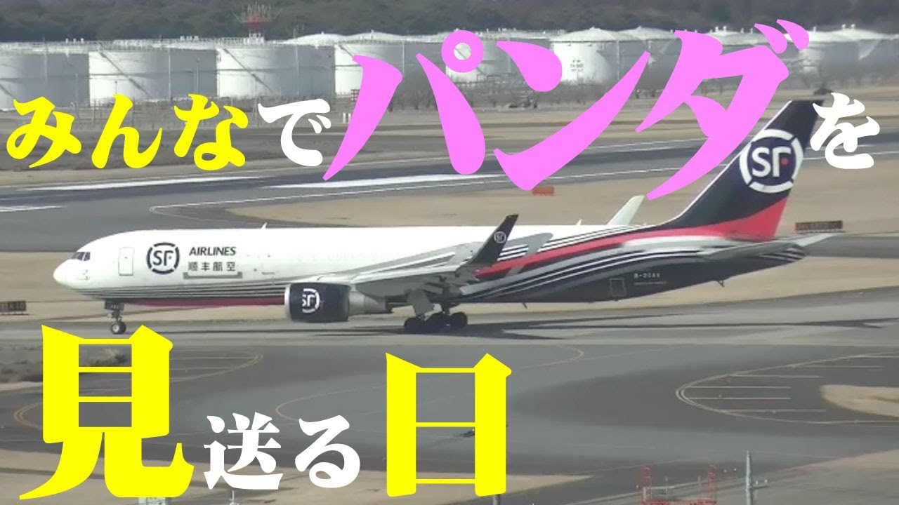 【成田空港】成田が限りなく美しい涙で飾られた日！ジャイアントパンダ・シャンシャン離日のひとコマを追った！
