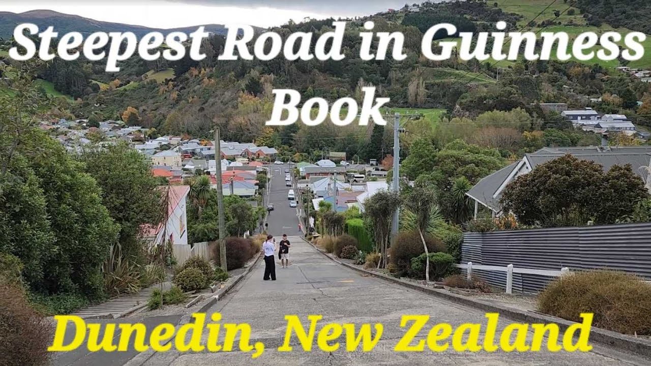 A charming city with stunning architecture, the world's flying bird and steepest street.