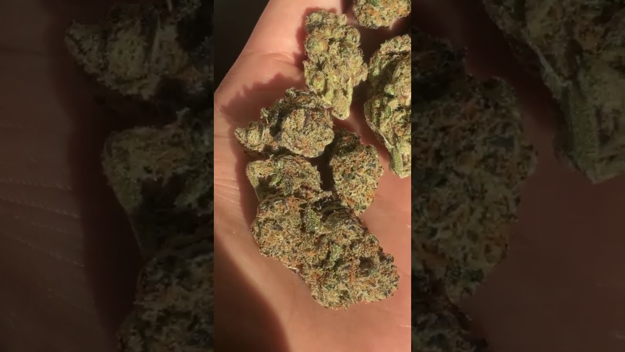 DOSIDO quick strain review (no commentary)