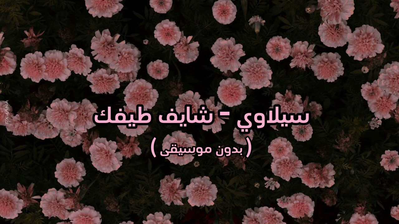 سيلاوي - شايف طيفك ( بدون موسيقى )