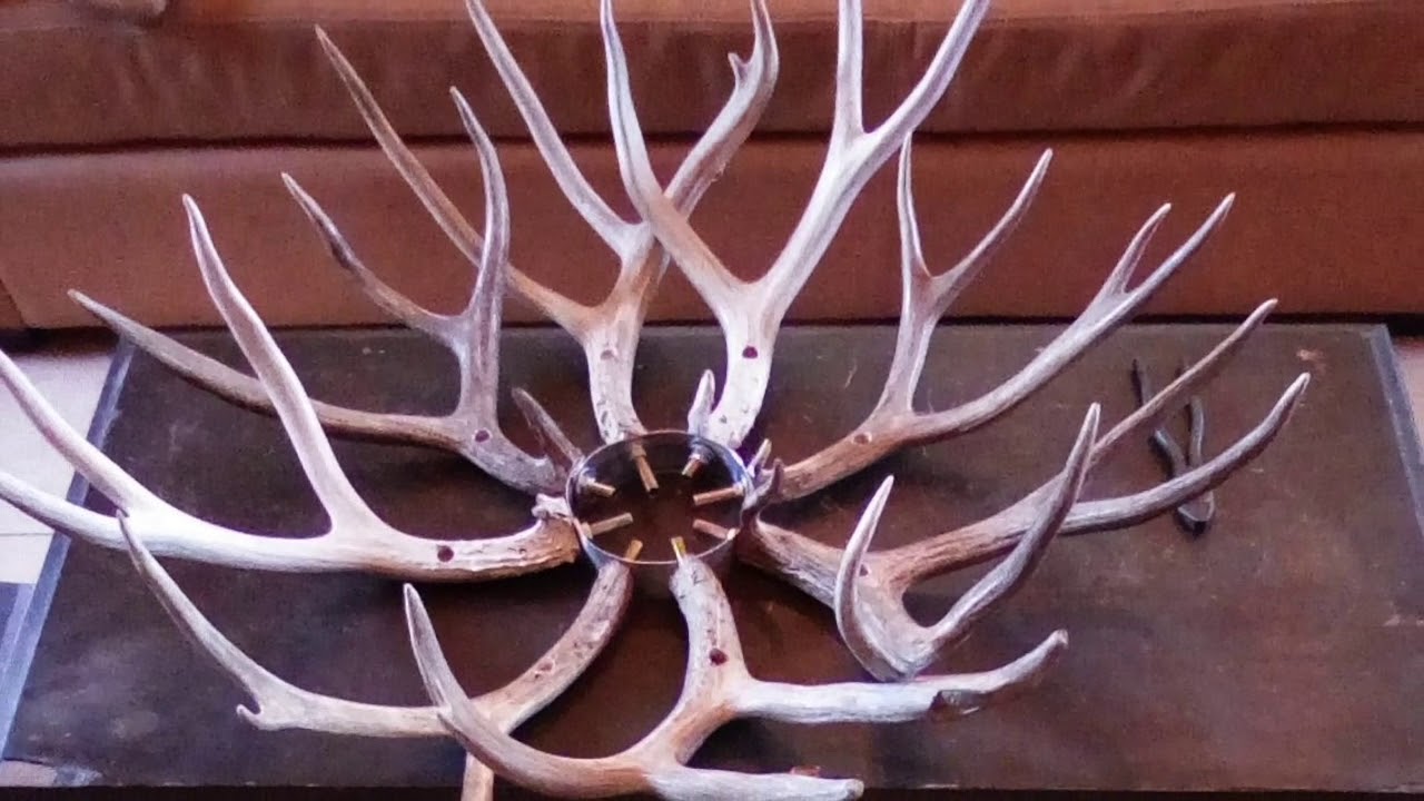 DIY Antler Chandelier 