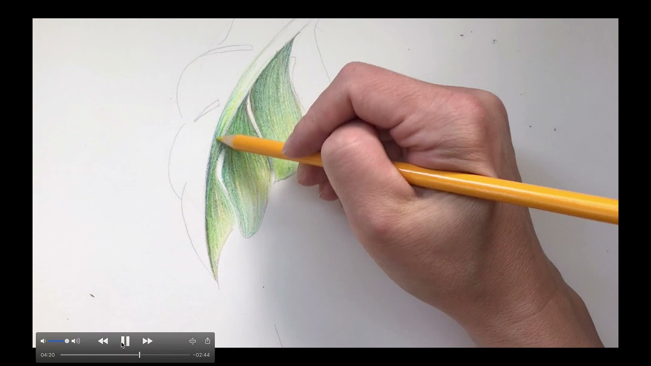 Shading a Leaf with Color Pencil
