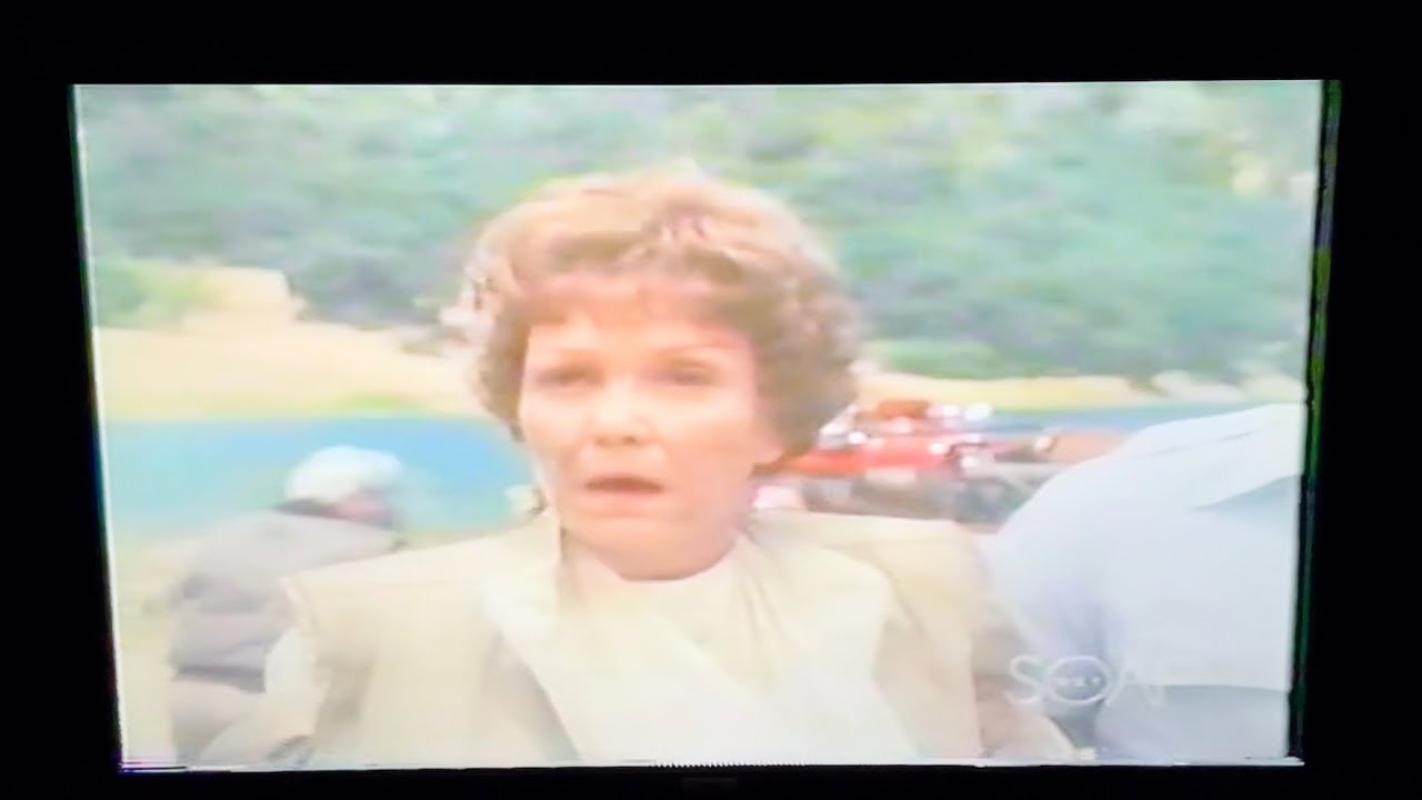 Falcon Crest: Who survived the plane ✈️ crash 💥?