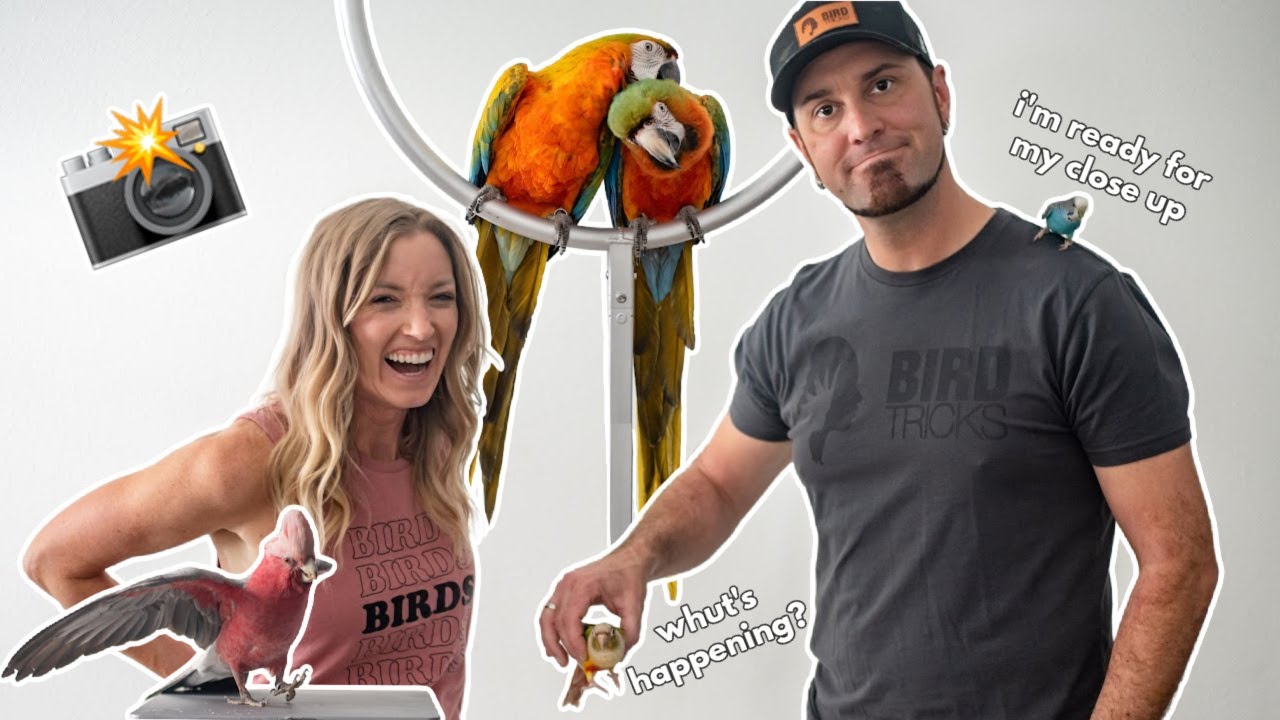 Берём ВСЕХ наших попугаев на фотосессию! 🤪📸🦜