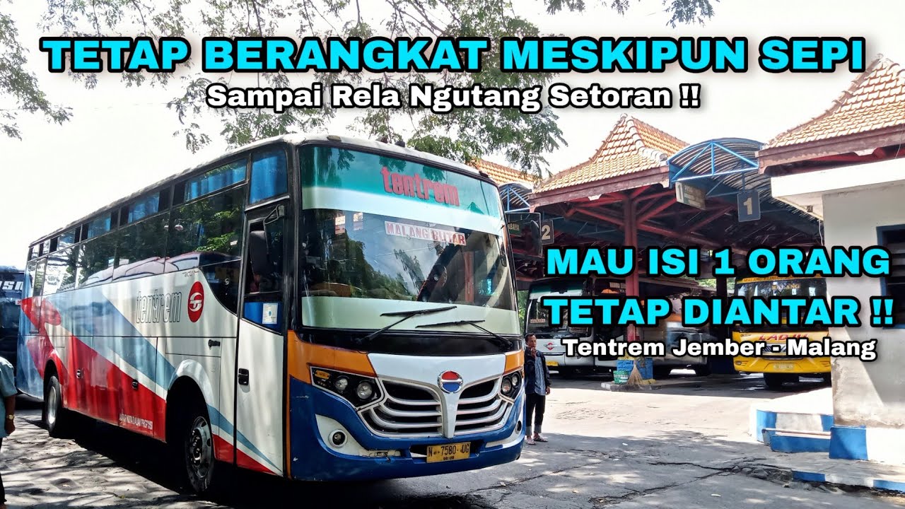 Rela Ngutang Setoran Daripada Oper Penumpang‼️Trip Tentrem Jember Malang