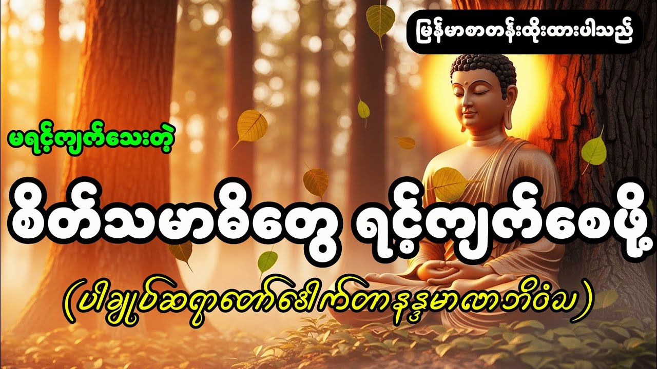 မရင့်ကျက်သေးတဲ့ စိတ်သမာဓိတွေကို ရင့်ကျက်အောင် ဘယ်လိုလုပ်ရမလဲ.. #ဆရာတော်နန္ဒမာလာဘိဝံသ