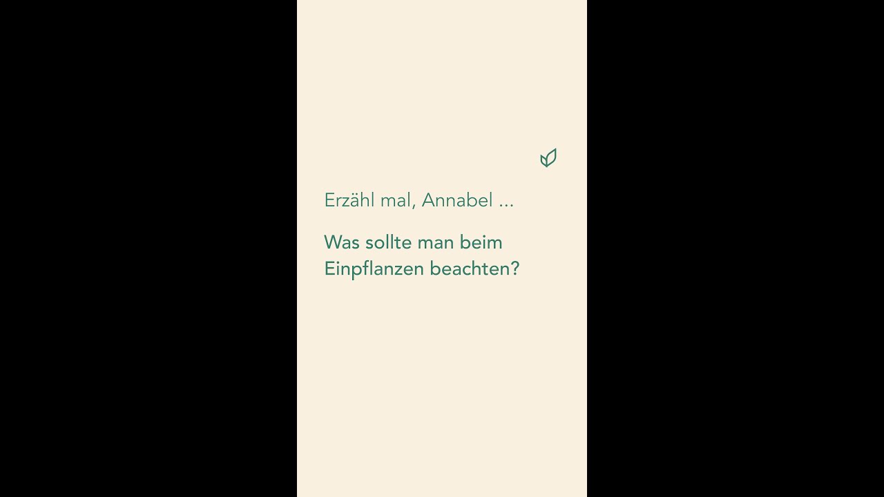 Licht- und Dunkelkeimer richtig einpflanzen