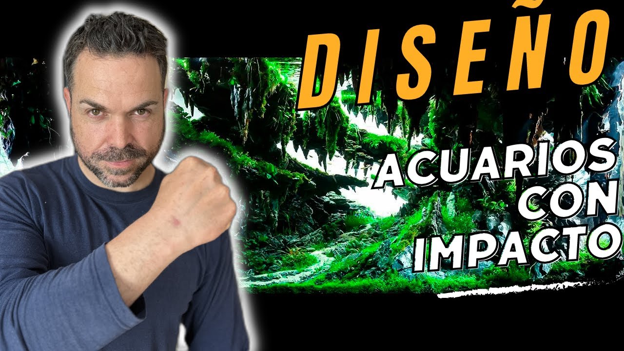 Diseñar un ACUARIO PLANTADO de IMPACTO | NAscapers Aquascaping