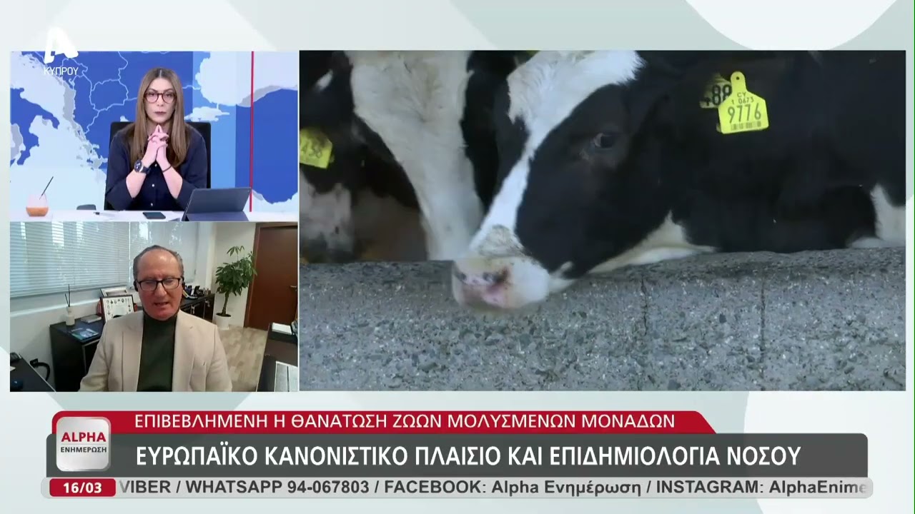 Σταύρος Μαλάς στον Alpha: Η διαχρονική κατάρα για την κυπριακή κτηνοτροφία | AlphaNews Live
