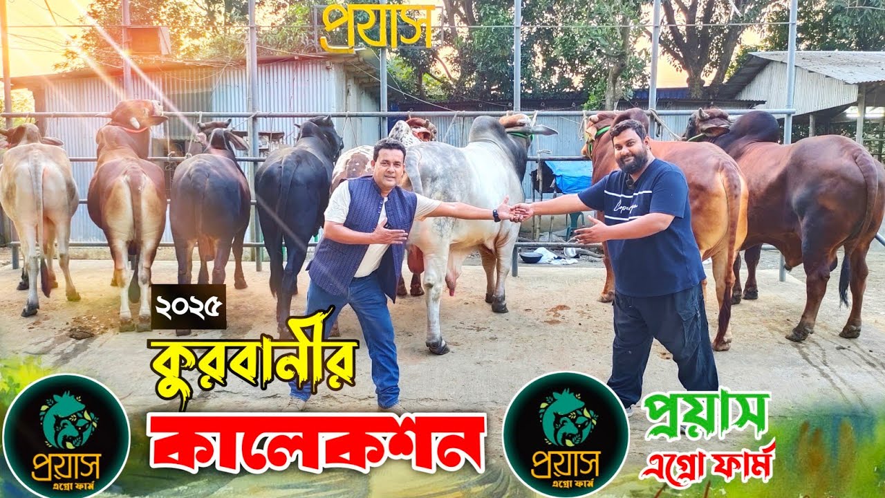 ২০২৫ কোরবানির 