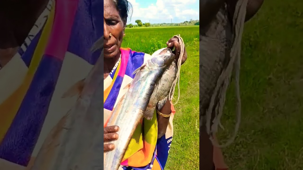 Full video 🍲👆🐟 link 🔗👆