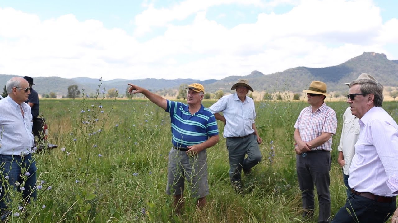The Australian Landscape Science Approach with Peter Andrews at Tarwyn Park in Bylong Valley