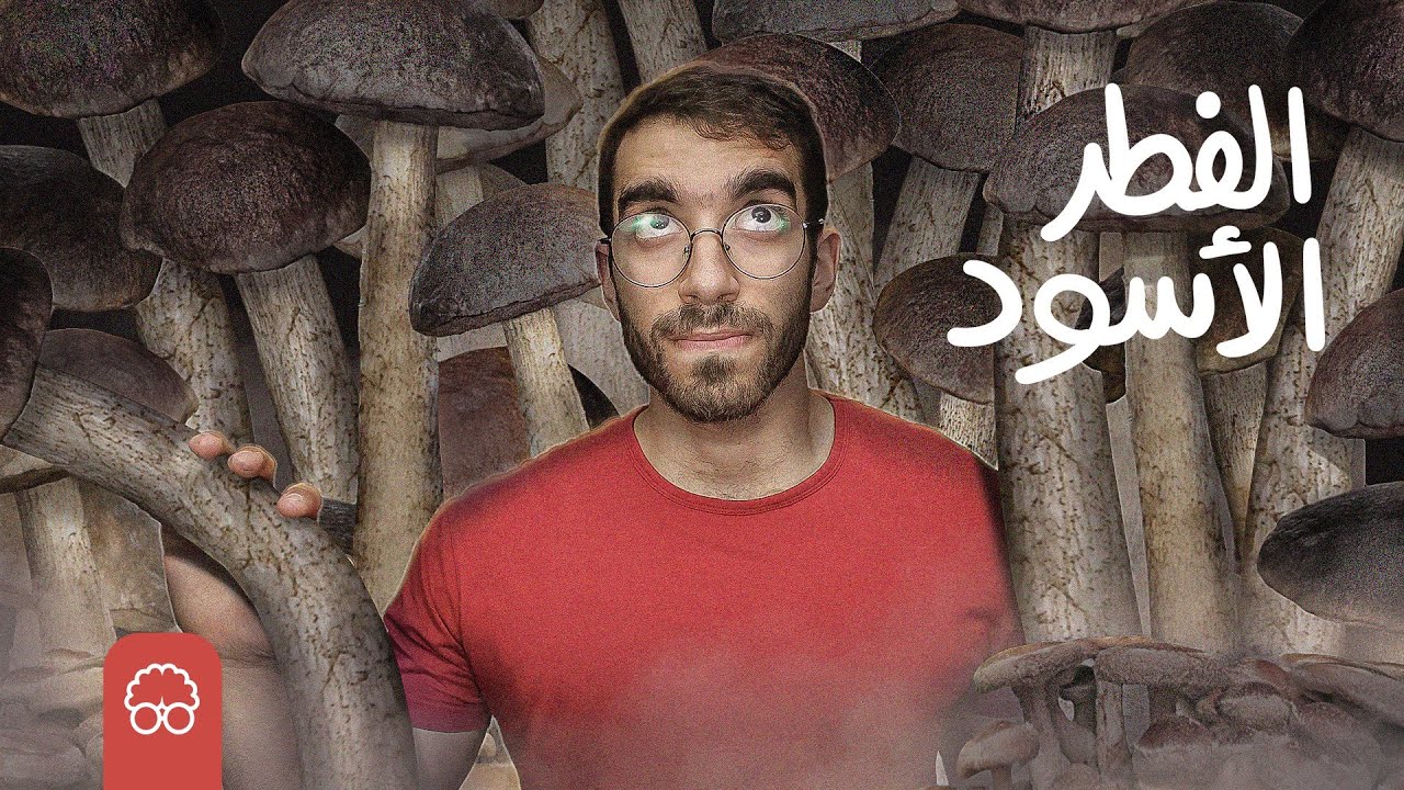 الفطر الاسود | ايجيكولوجي