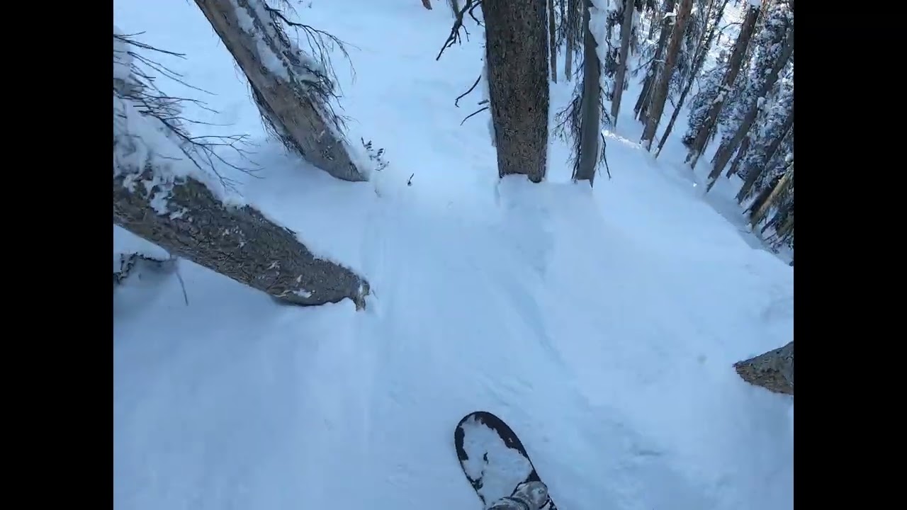 Tsunami and Numbered Chutes After 59in Storm