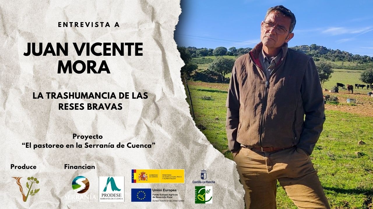 La TRASHUMANCIA de las RESES BRAVAS, con Juan Vicente Mora