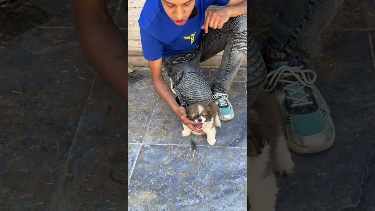 بيعض