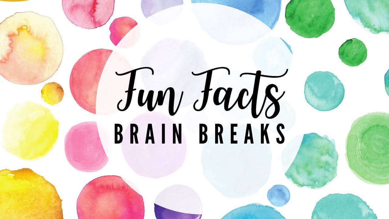 Fun Facts &ndash; Brain Breaks with Duggu TV | Cool Learning for Kids