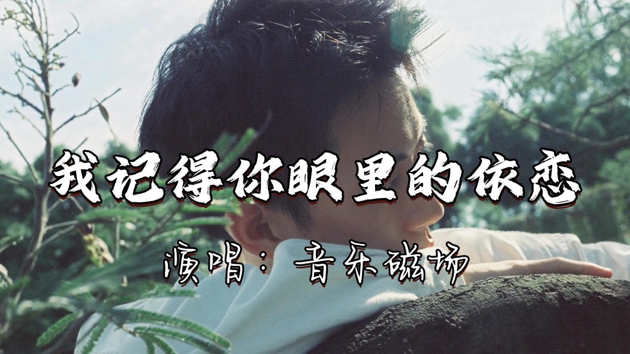 音乐磁场 - 我记得你眼里的依恋『走在红尘俗世间，谁的呼唤飘在耳边，那么熟悉却又遥远，为什么痴心两处总难相见。』『动态歌词MV』
