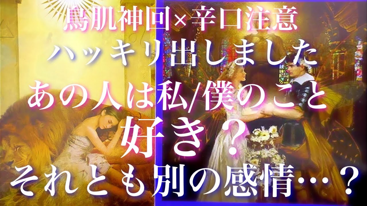 💕鳥肌神展開🐉辛口注意⚠️ハッキリだしました あの人は私/僕のこと好き？それとも別の感情ですか？🦋