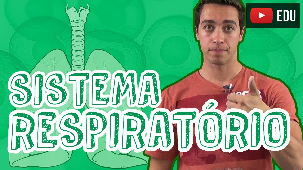 Aula Biologia - Fisiologia Animal - Sistema Respiratório para o Enem e Vestibulares - STOODI