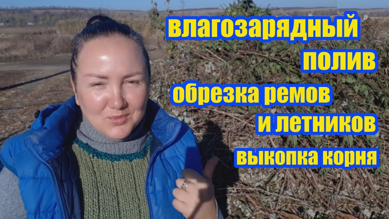 Последние перед зимой работы в саду: влагозарядный полив, обрезка, рассыпание мульчи, выкопка корня