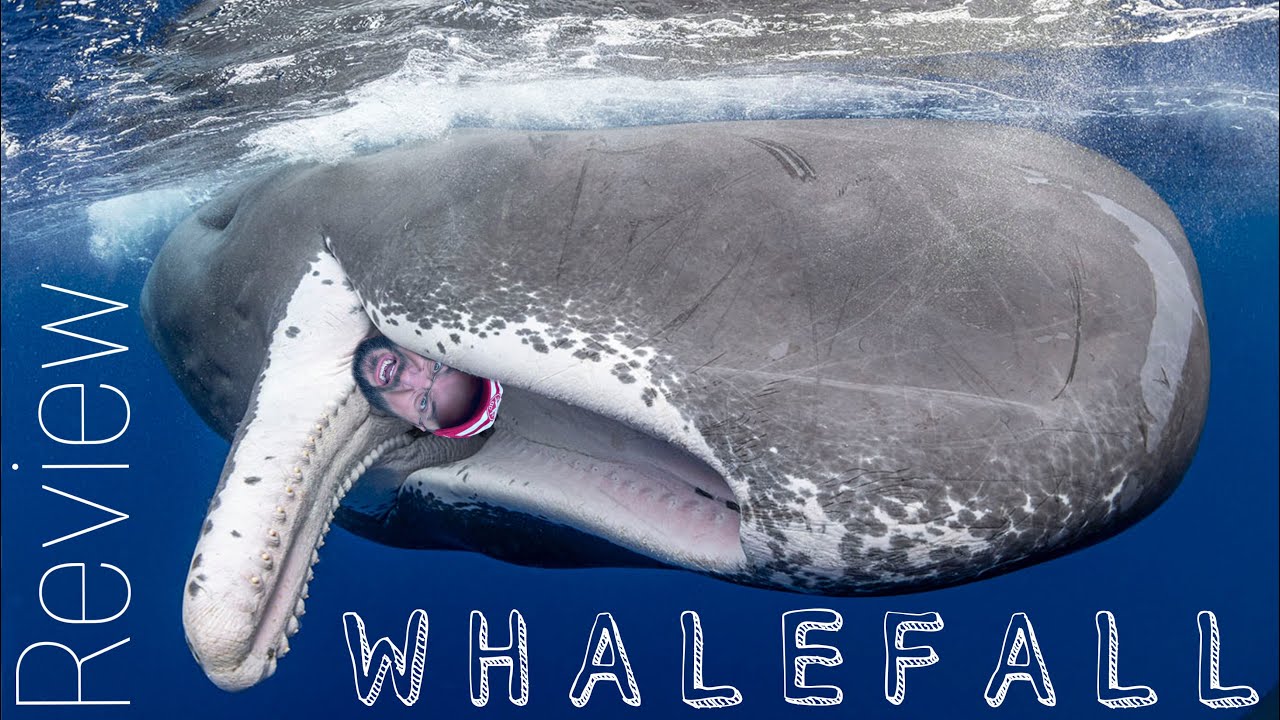 Review of Daniel Kraus' WHALEFALL