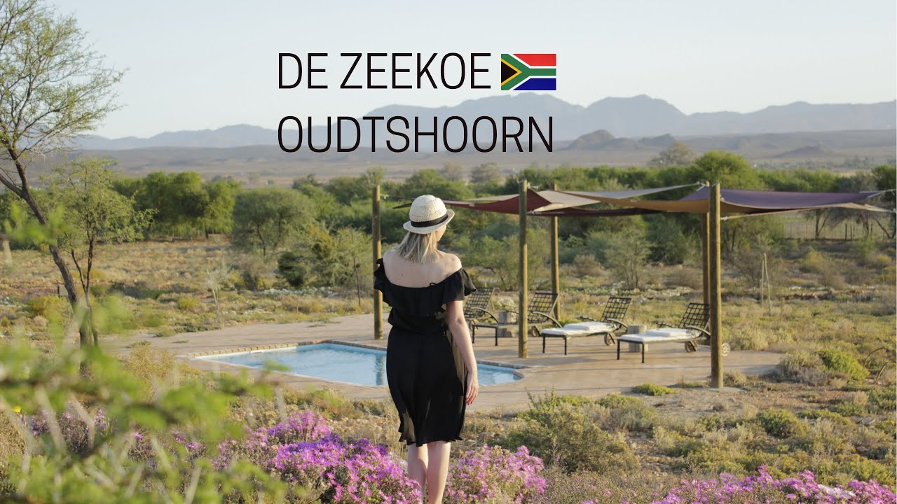 De Zeekoe - Oudtshoorn - South Africa