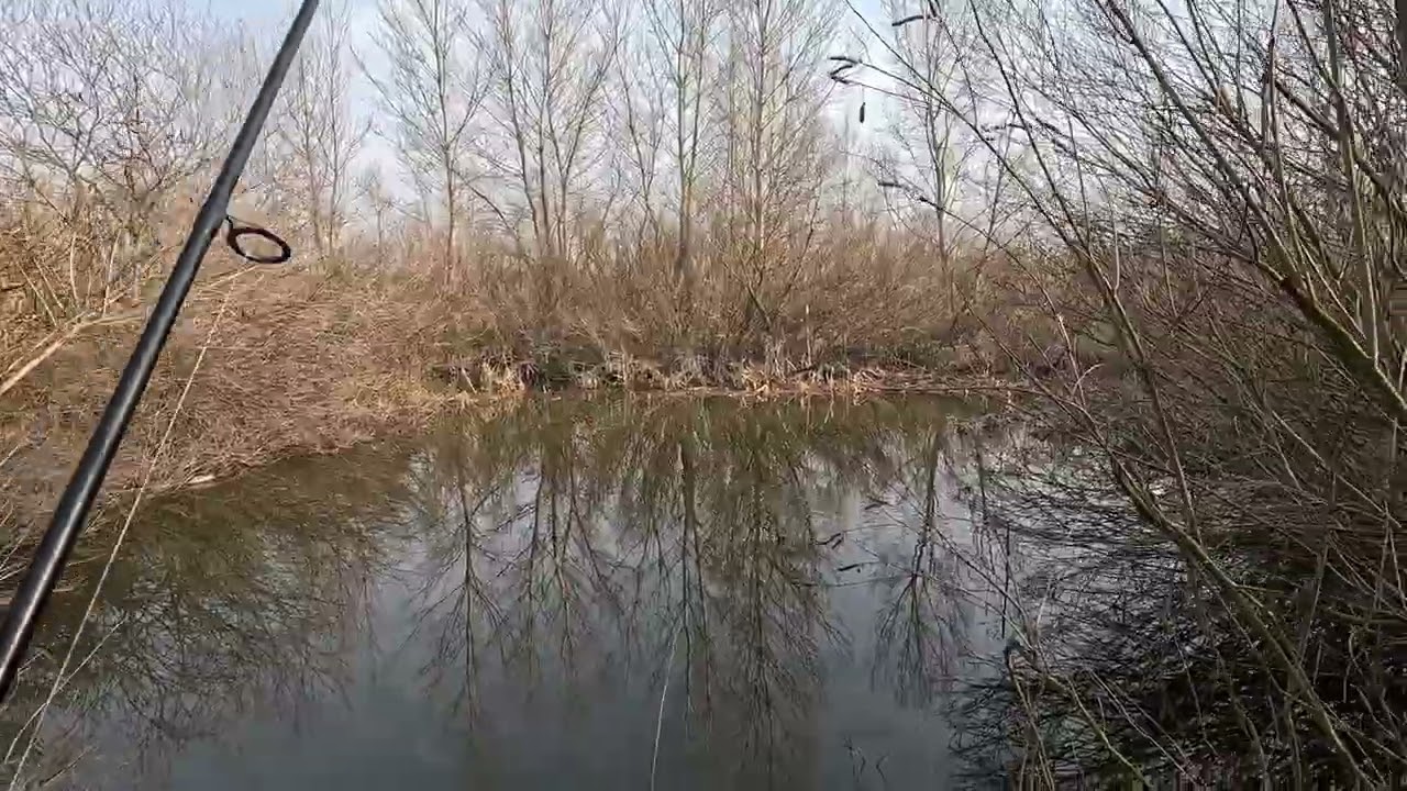 Pescuiesc în martie și caut avati și știuci #pescuit #4k #nature #2026 #martie #arges #darasti 