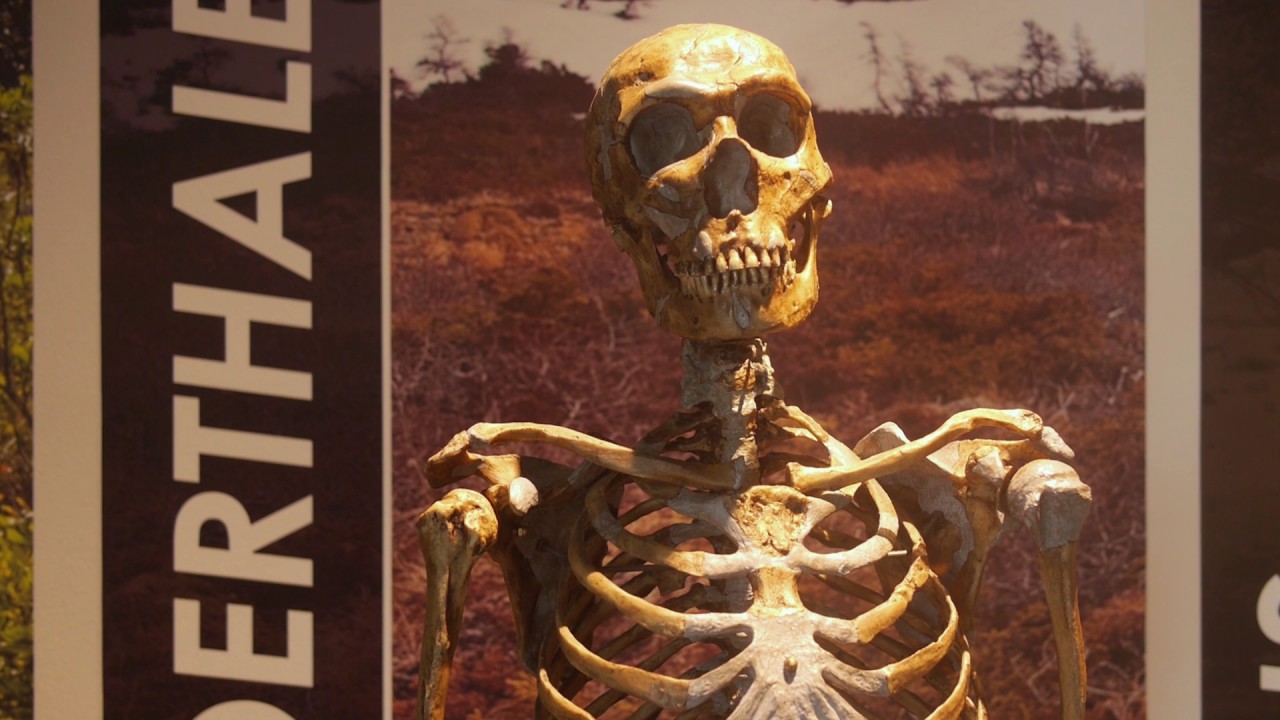 The Museum at Prairiefire