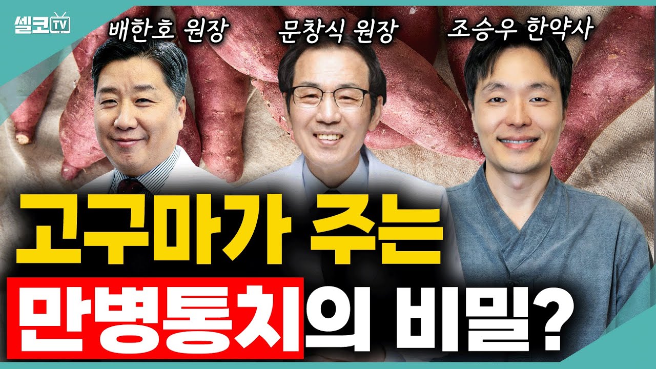 고혈압에서 암까지~ 대동단결! 고구마 하나로 내 몸 지키는 방법, 이렇게 꼭 드세요  (조승우 한약사, 배한호 원장, 문창식 원장 통합)