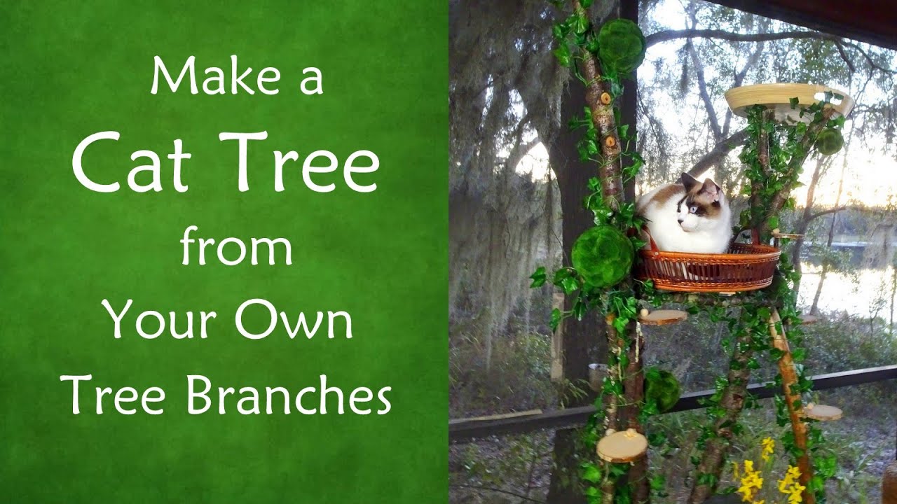 DIY How to Make a Cat Tree (using Tree Branches & Upcycled Material!) #cattree #upcycling #recycling