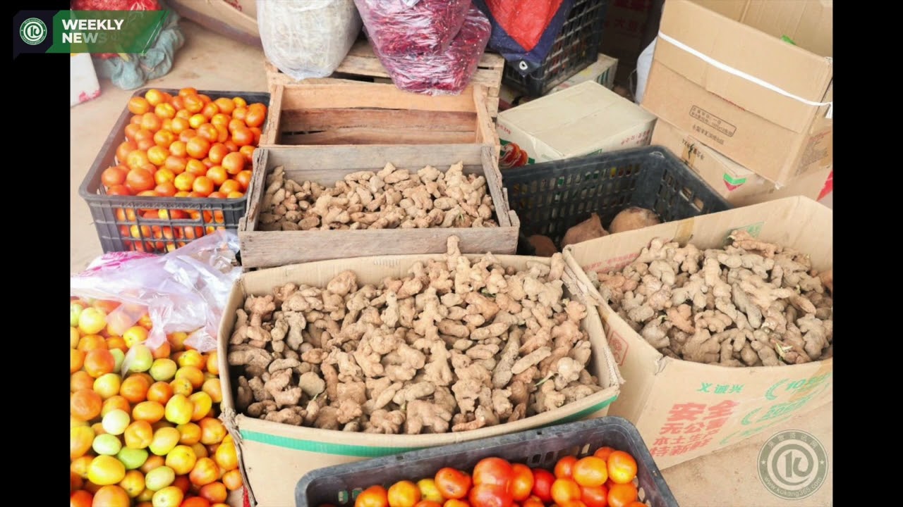 The Kokang (Weekly News) (2.8.2025)