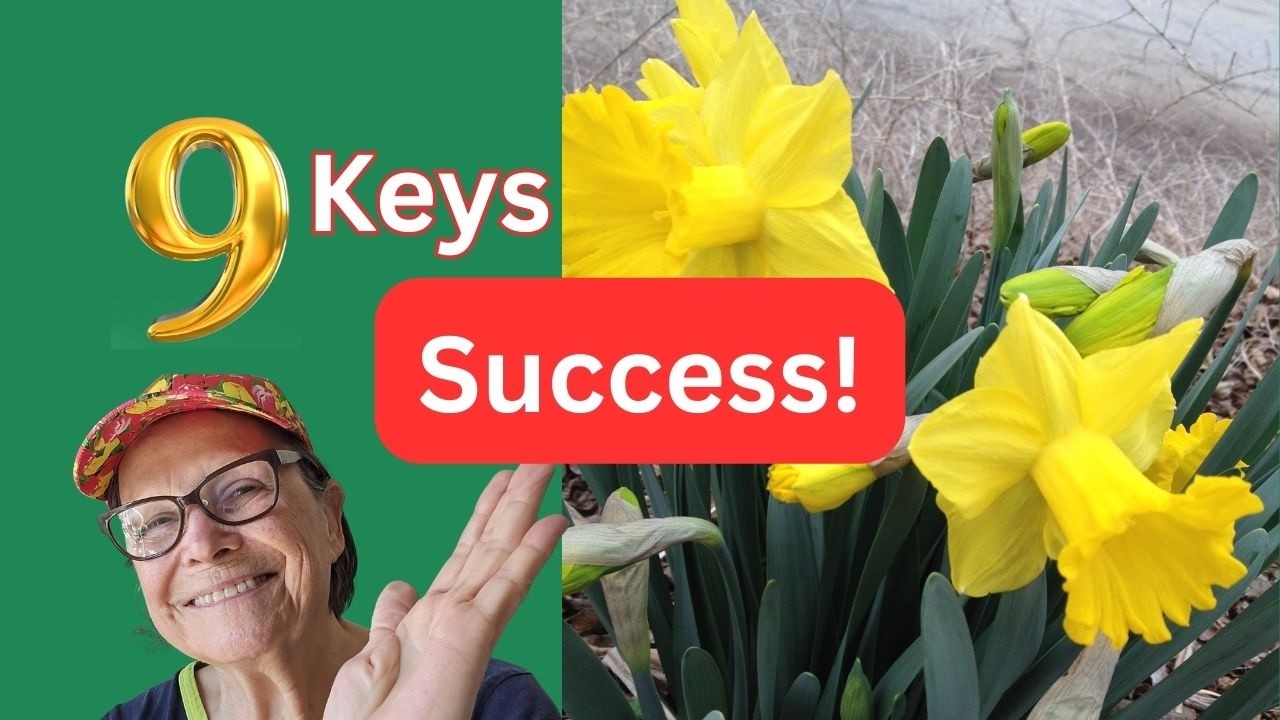 North Florida Daffodils Complete Growing Guide/Part 2