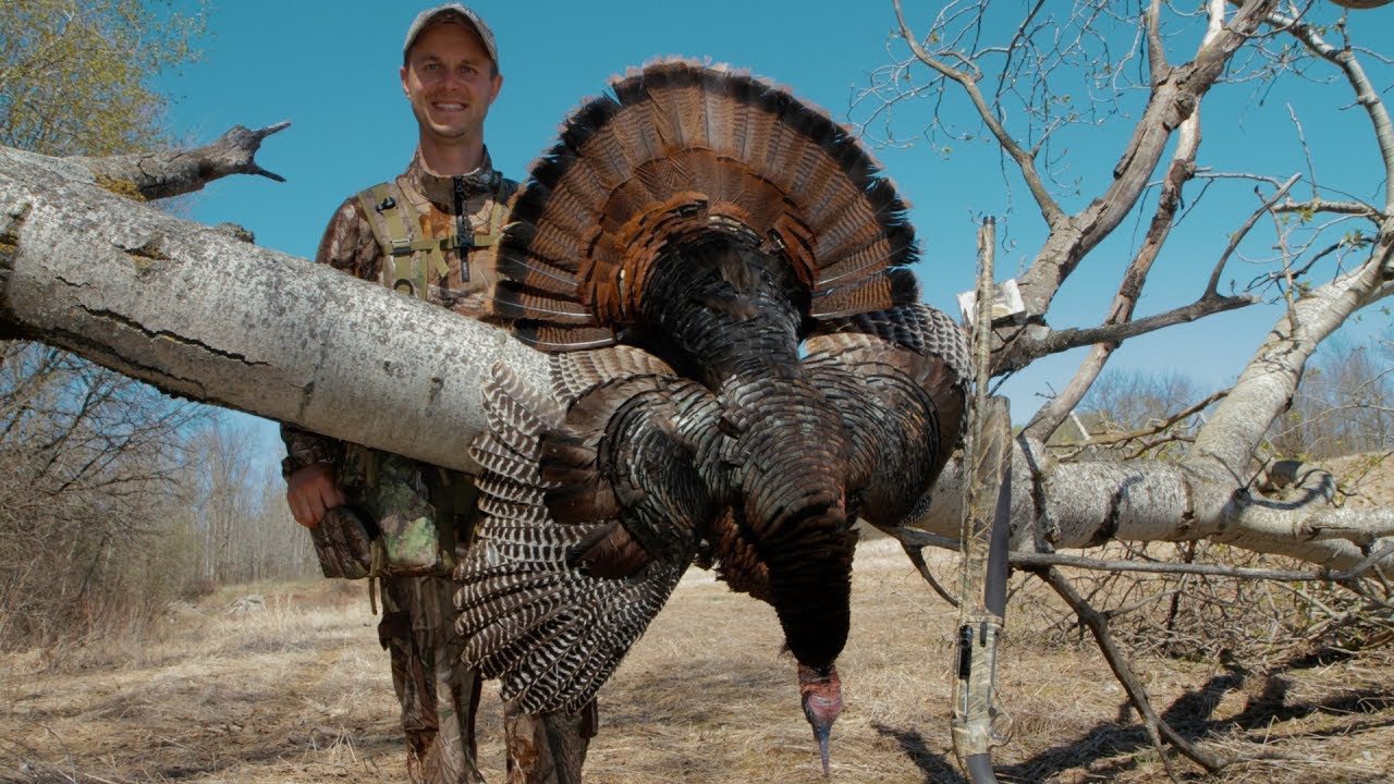 Run and Gun Afternoon Turkey Hunt | Ontario Spring Turkey Action (Fast Hunt) | WEB EXCLUSIVE