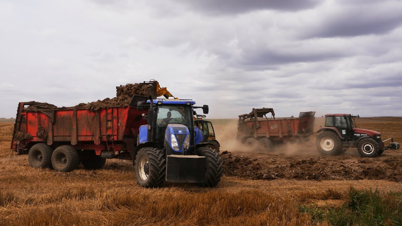 ㋡Obornik 2020✔SŁAW ROL✔Prace pożniwne 2020㋡NH II JCB