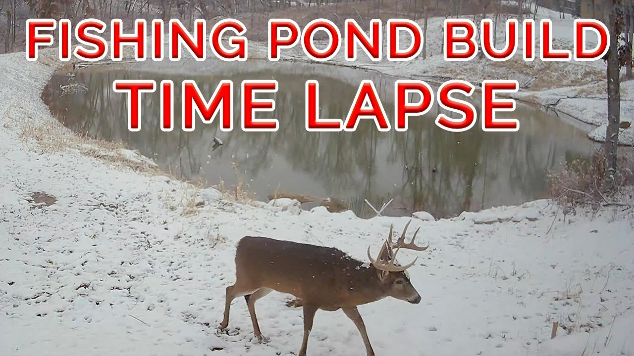 Complete Fish Habitat Strategy for New Ponds - How to Attract Fish Naturally in 1 Acre Pond