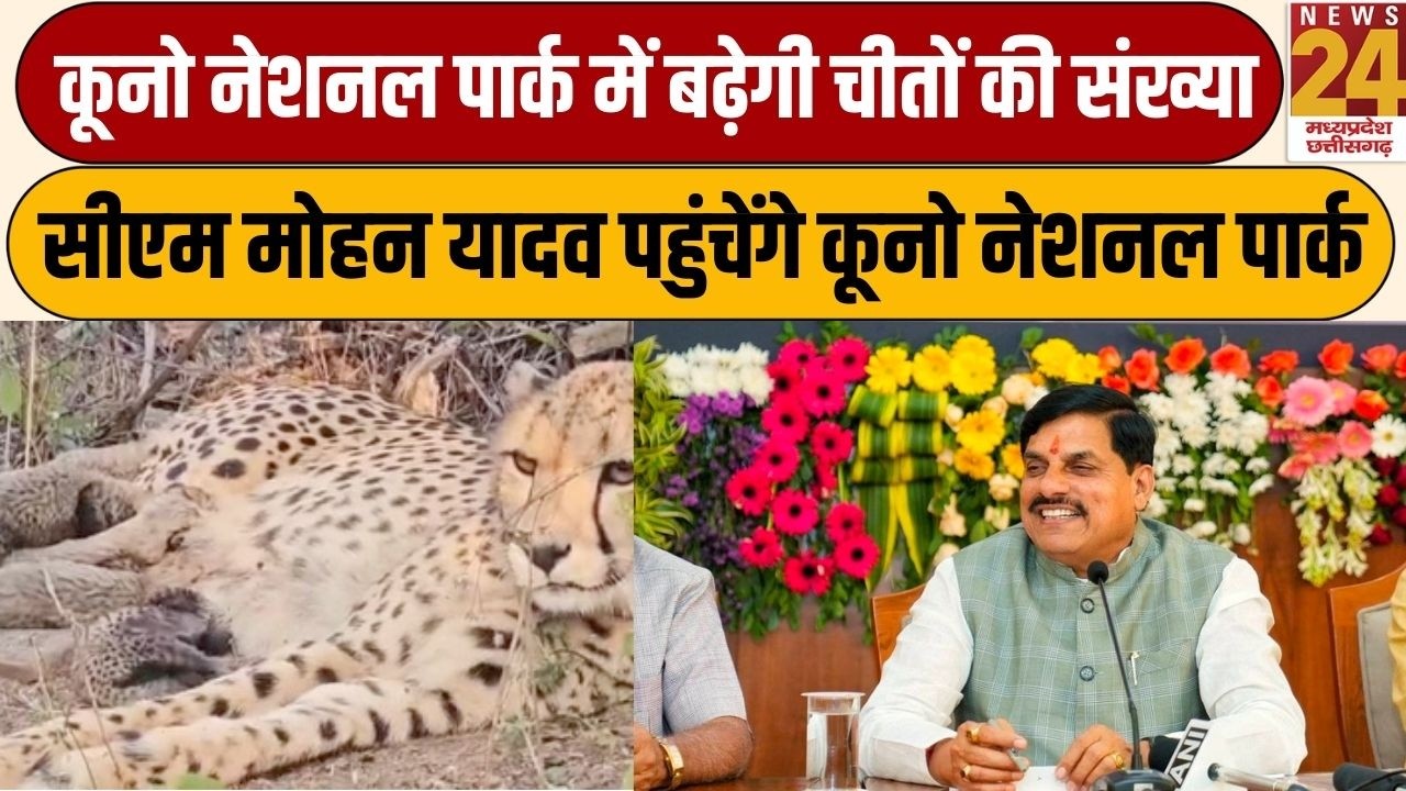 Sheopur- Kuno National Park में बढ़ेगी चीतों की संख्या, CM Mohan Yadav पहुंचेंगे कूनो नेशनल पार्क