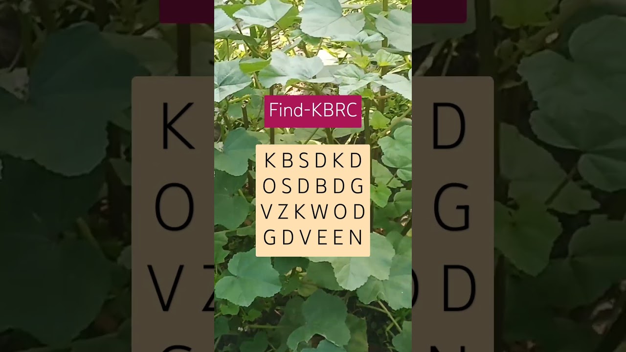 Observation Visual Test: 5 Seconds ForYou To Spot KBRC. Try Your Skills! #search #puzzle #shorts