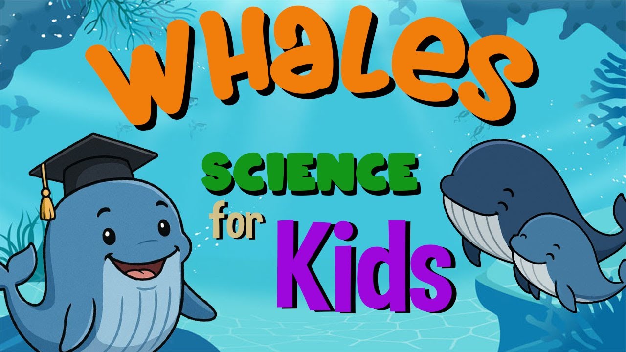 Whales | Science for Kids