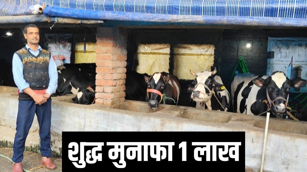 सुधा में दूध दे कर एक लाख शुद्ध मुनाफा | Dairy Farming