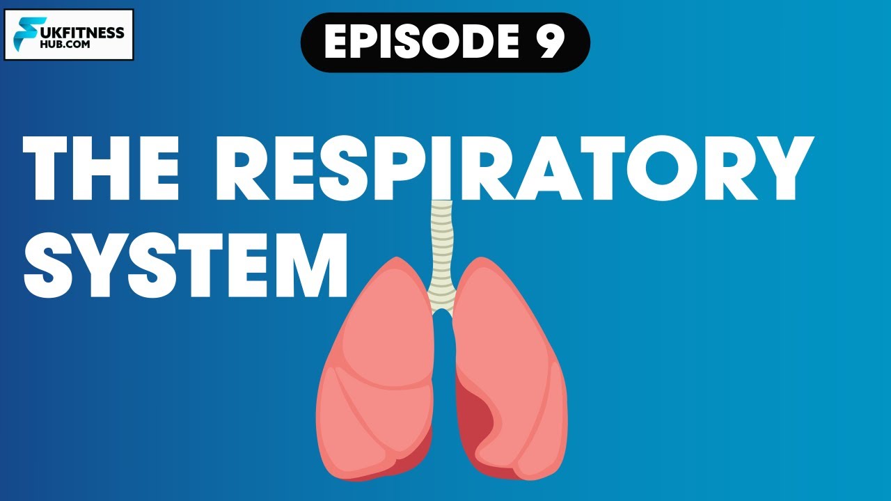 Sports and Exercise Science Series: EP9 The Respiratory System