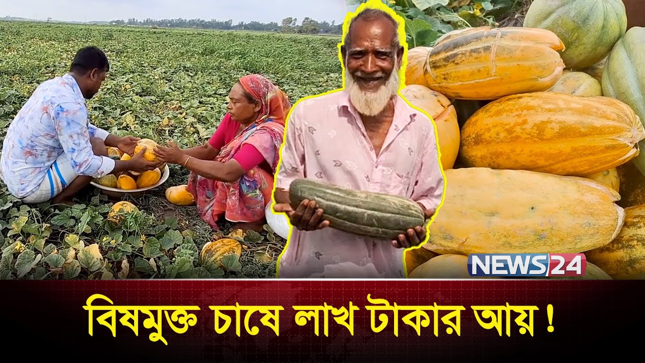 ধান ছেড়ে বাঙ্গি চাষ, লাখ টাকার গল্প | Melon Farming | News24 Special