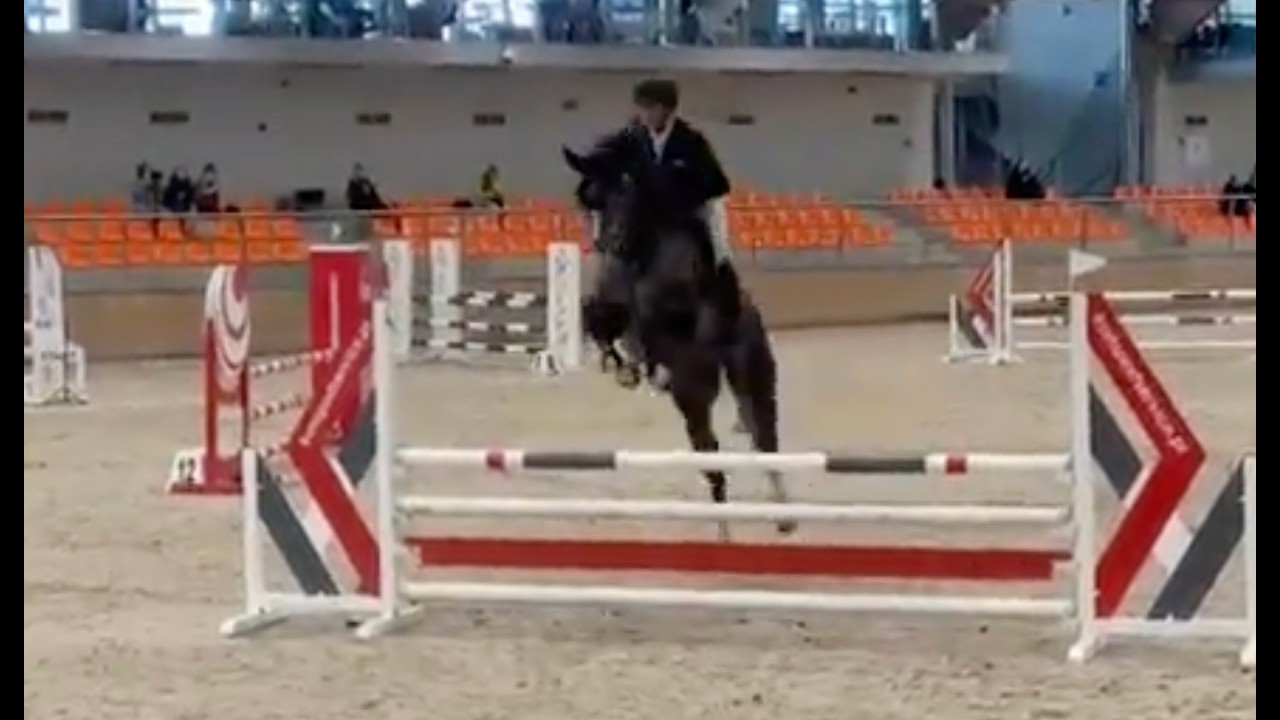 Chacco Classic LM level 1.00m, Sopot 01.03.26, rider Tomasz Miskiewicz