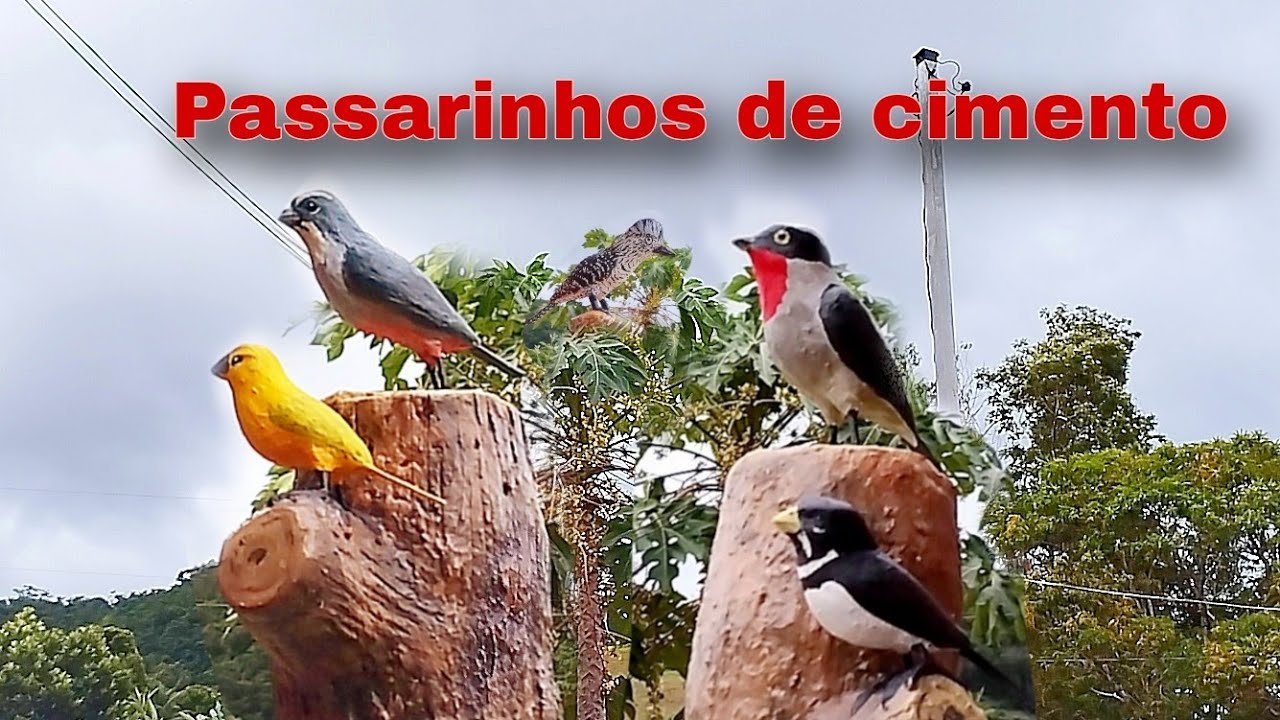 Nova técnica de fazer passarinhos as informações contidas neste vídeo vale ouro